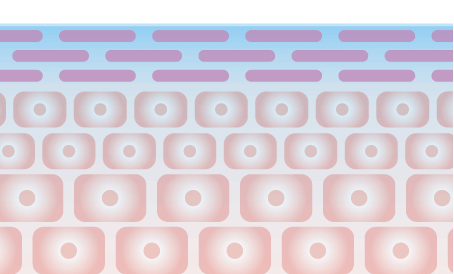 イラスト：水分蒸発