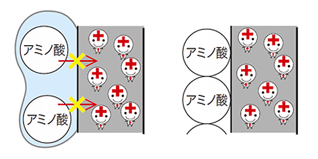 イラスト：従来のアミノ酸系トリートメント